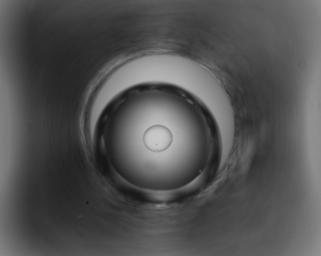 X0000093160244200710031451