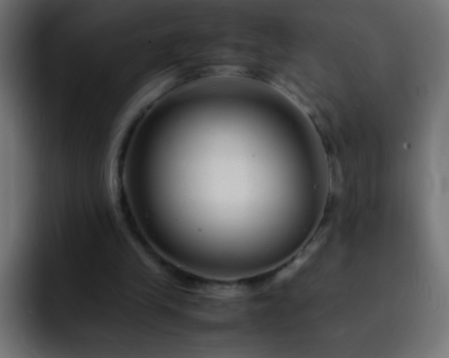 X0000093160245200710031451