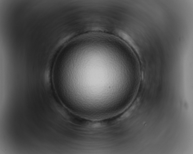 X0000093160249200710031451