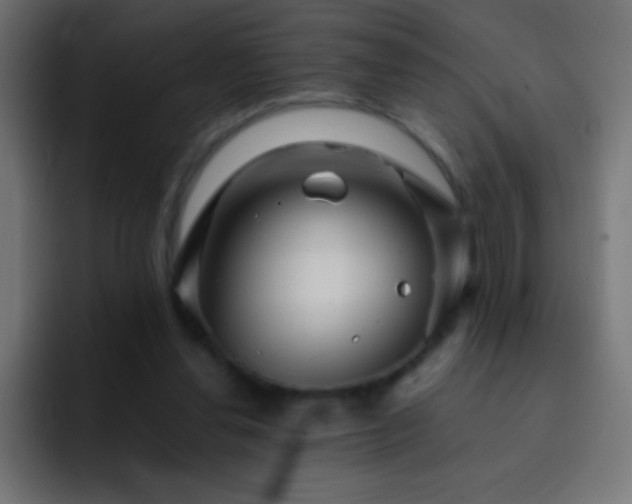 X0000093160252200710031451