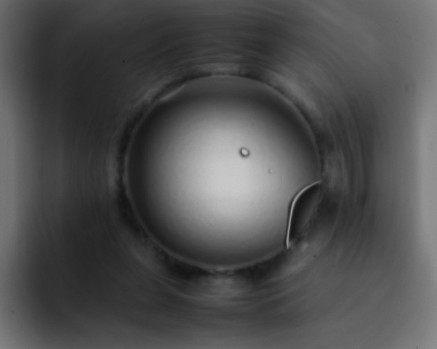 X0000093160255200710031451