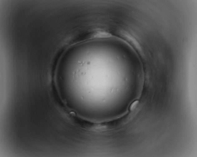 X0000093160257200710031451