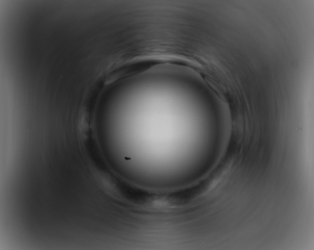 X0000093160264200710031451