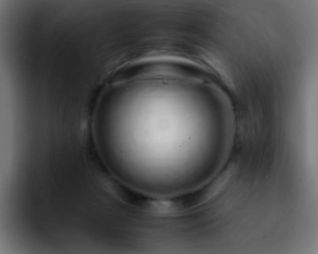 X0000093160265200710031451