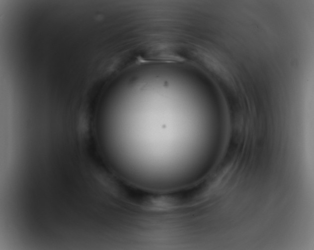 X0000093160268200710031451