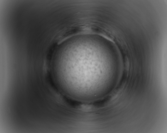 X0000093160272200710031451