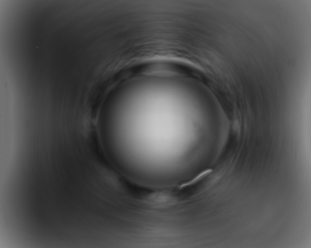 X0000093160280200710031451
