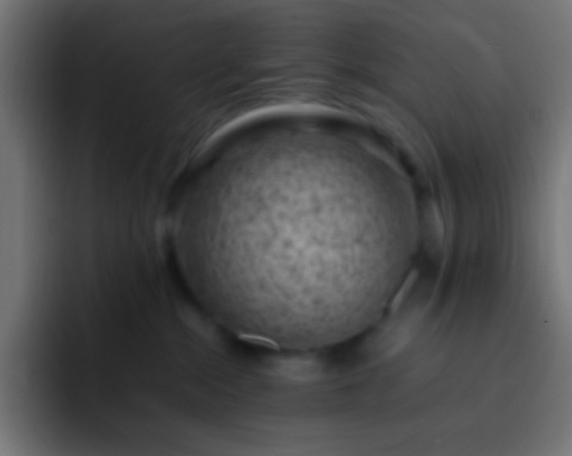 X0000093160284200710031451