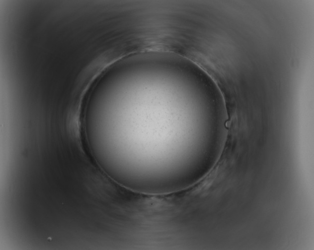 X0000093160290200710031451