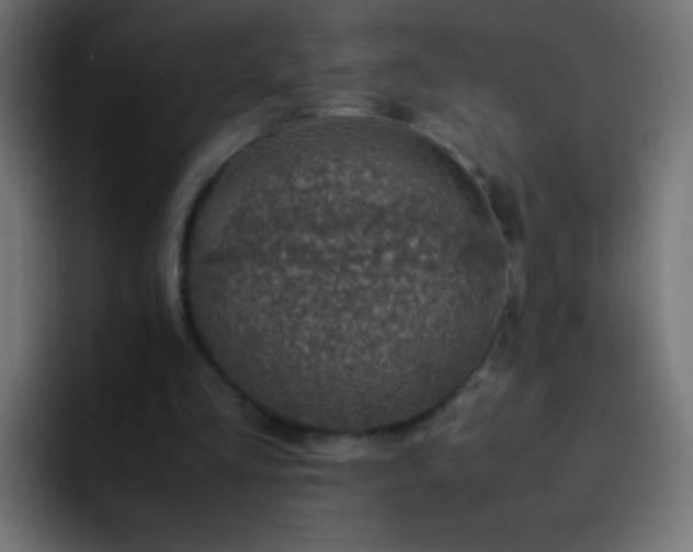 X0000093160293200710031451