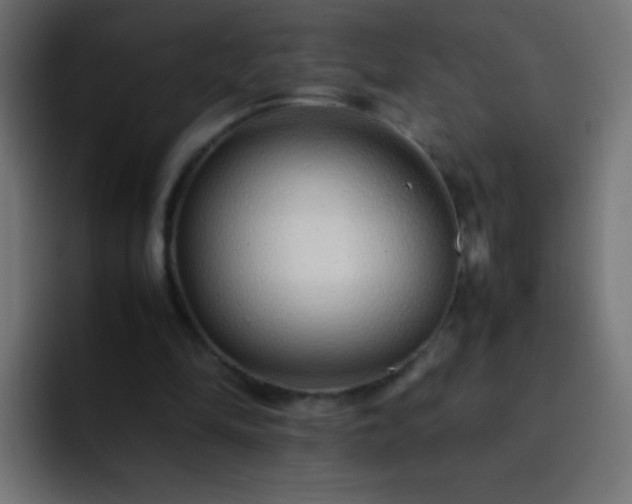 X0000093160294200710031451