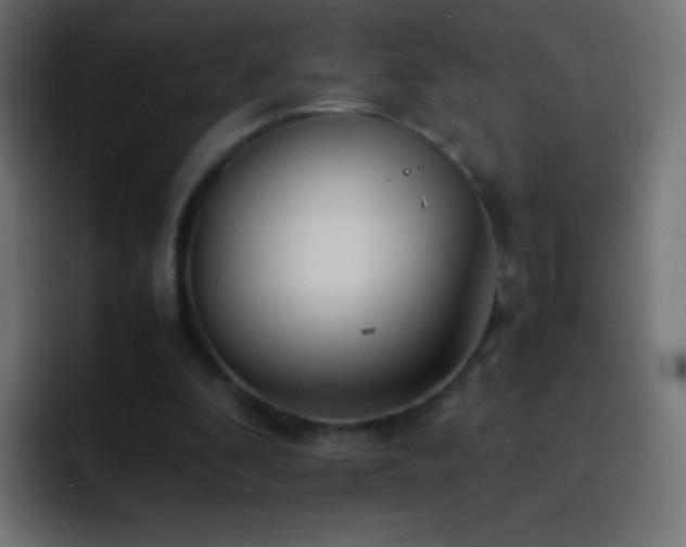 X0000093160296200710031451