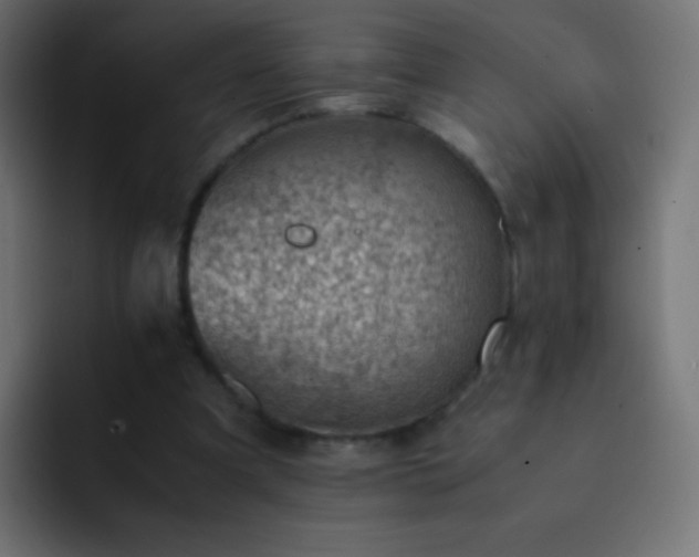 X0000093160297200710031451