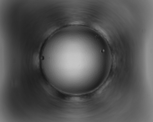 X0000093160298200710031451
