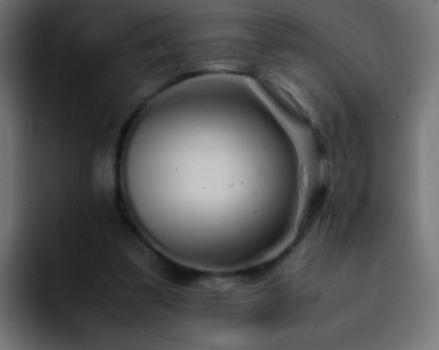 X0000093160299200710031451