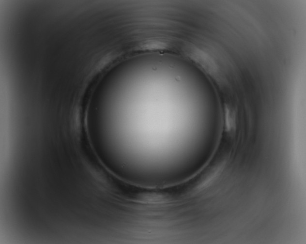 X0000093160300200710031451