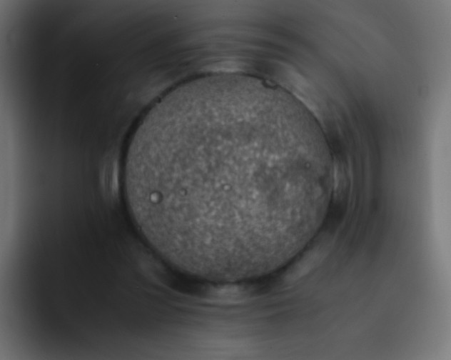 X0000093160301200710031451