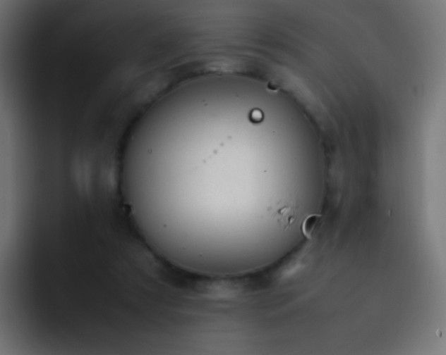 X0000093160305200710031451