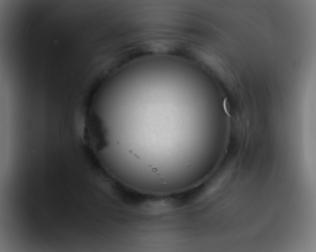 X0000093160307200710031451