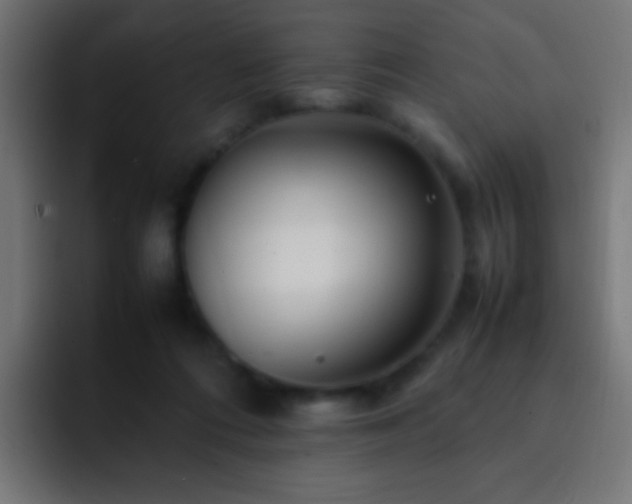 X0000093160312200710031450