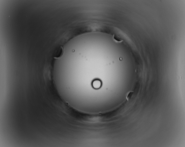 X0000093160313200710031450