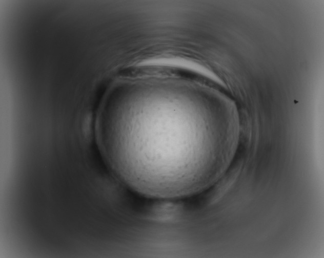 X0000093160319200710031450
