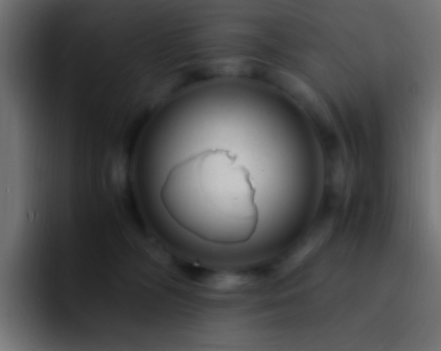 X0000093160326200710031450