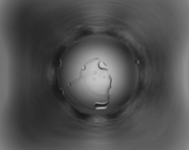 X0000093160327200710031450