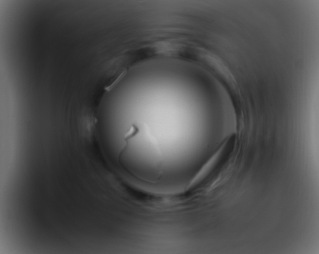 X0000093160329200710031450