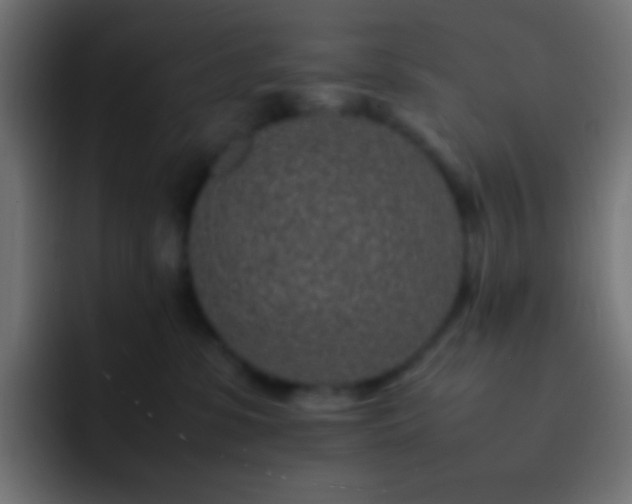 X0000093160331200710031450