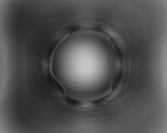 X0000093160333200710031450