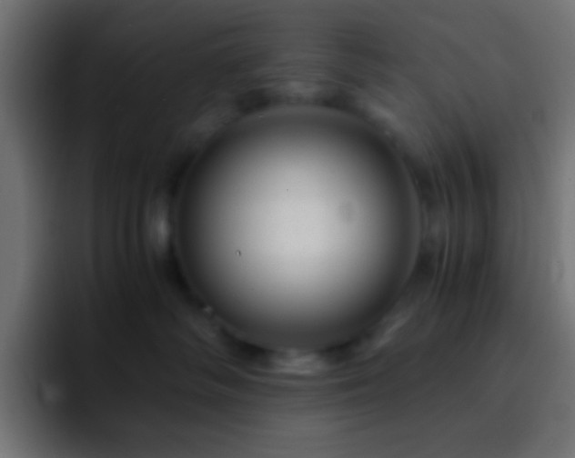 X0000093160334200710031450