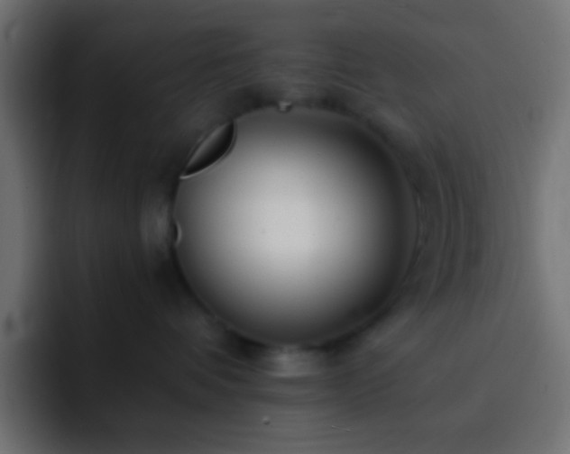 X0000093160336200710031450