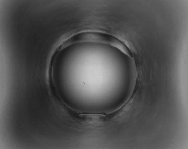 X0000093160340200710031450