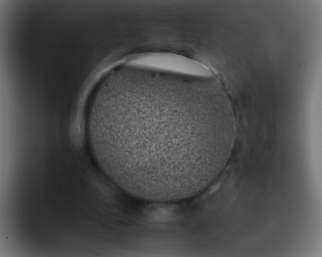 X0000093160343200710031450