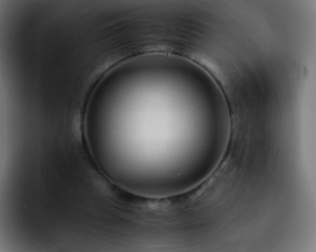 X0000093160345200710031450