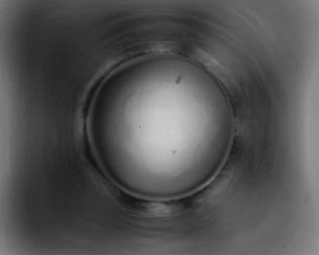 X0000093160347200710031450