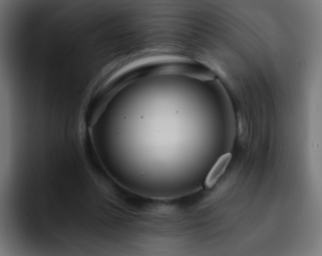 X0000093160348200710031450