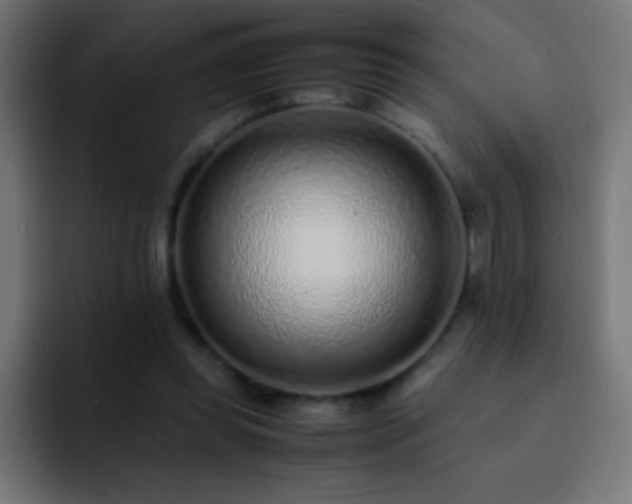 X0000093160349200710031450