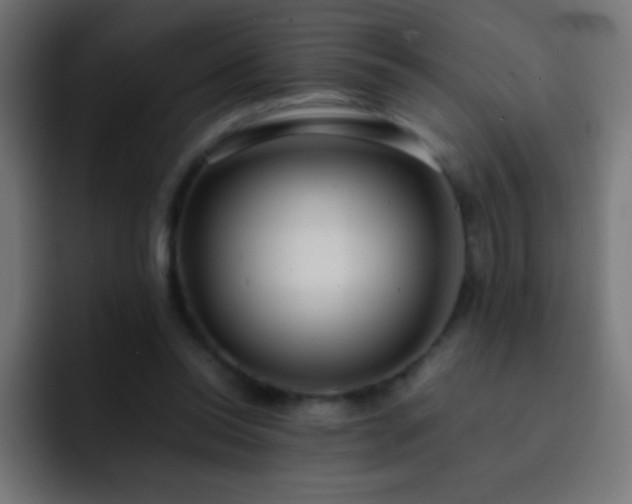 X0000093160350200710031450