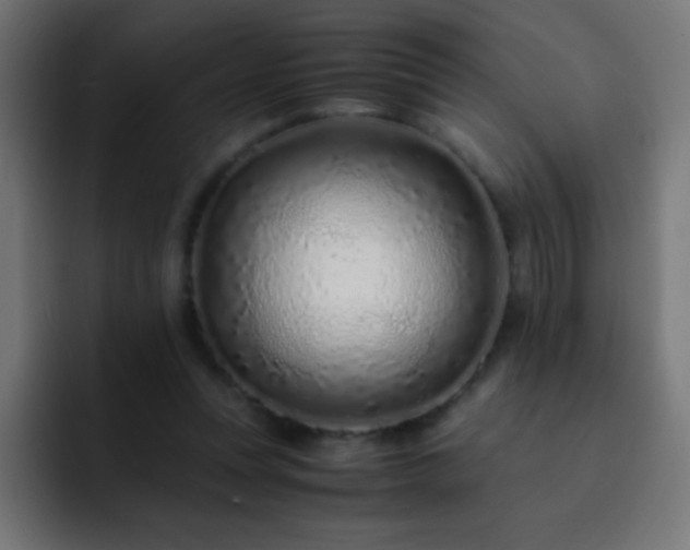X0000093160351200710031450