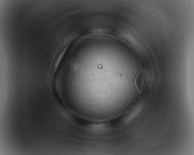 X0000093160357200710031450