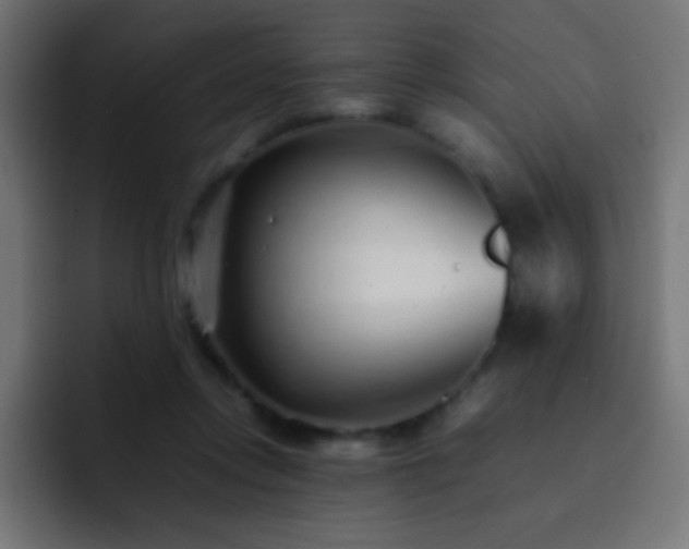 X0000093160358200710031450