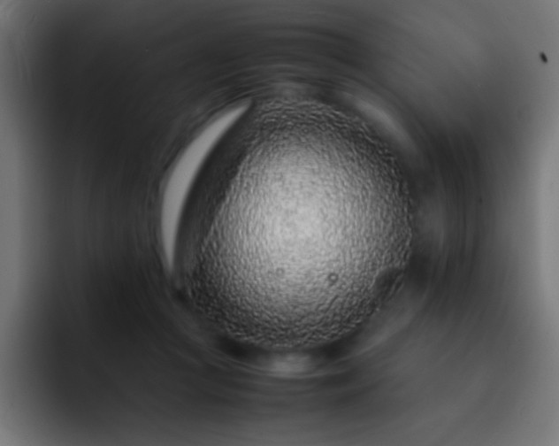 X0000093160361200710031450