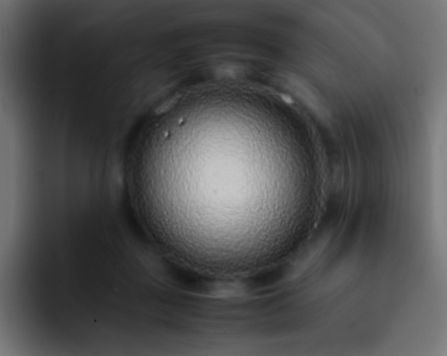 X0000093160363200710031450