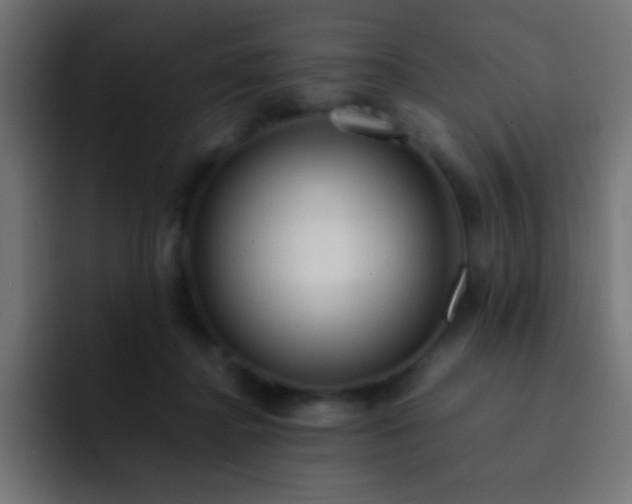 X0000093160364200710031450