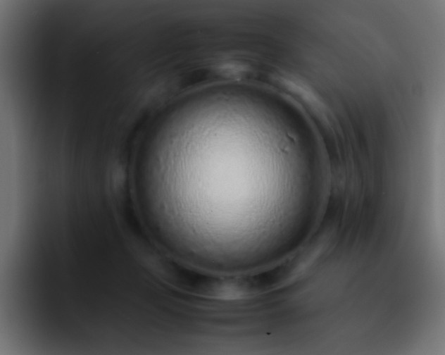 X0000093160365200710031450