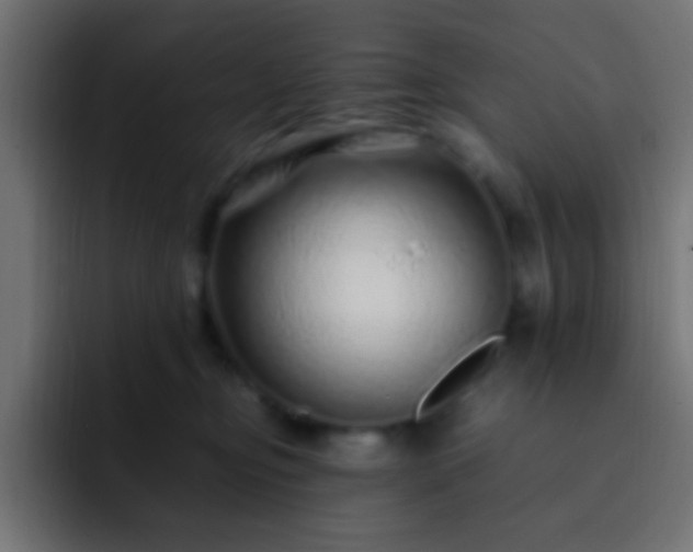X0000093160374200710031450