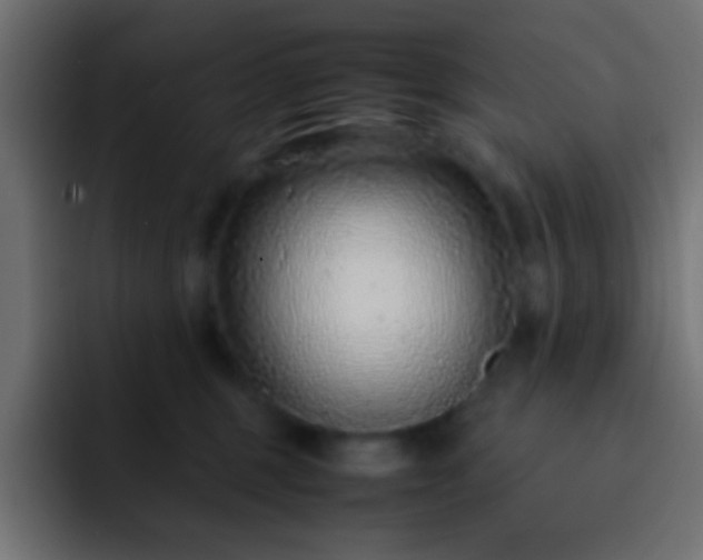 X0000093160375200710031450