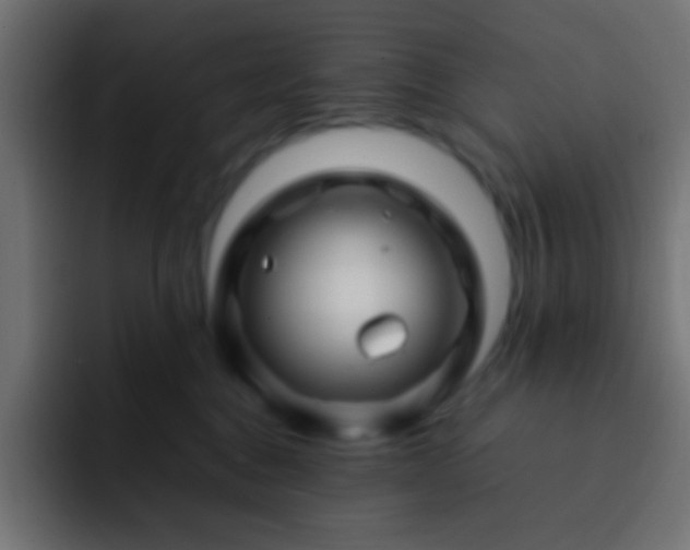 X0000093160376200710031450